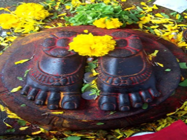 ఆలయ గర్భగుడి లోని ఒక దైవీకమైన పిల్లి