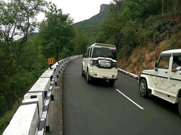 ఆలయ గర్భగుడి లోని ఒక దైవీకమైన పిల్లి