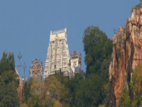 కలియుగ వైకుంఠదేవుడు 