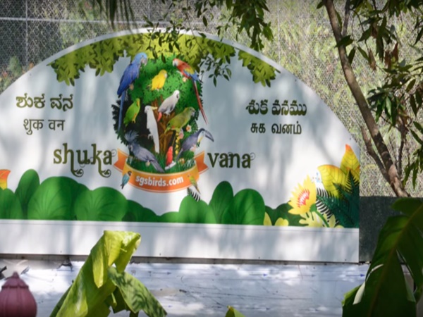 ఎక్కడ వుంది?