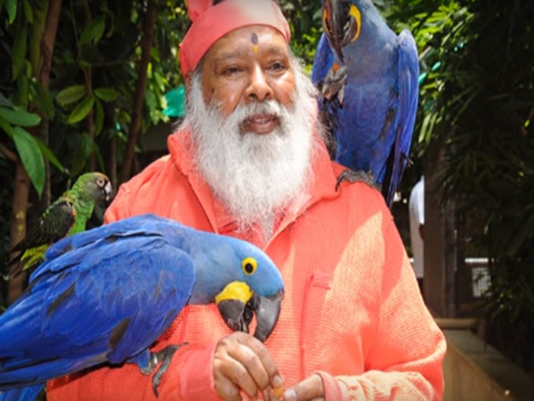 చిలుకల వనం చూసొద్దామా! రండి రండి!