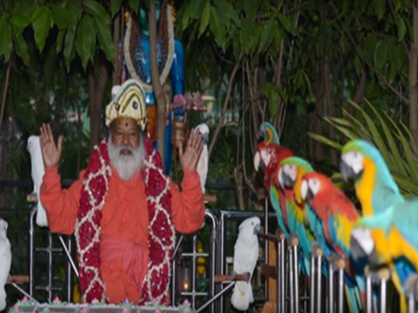 చిలుకల వనం చూసొద్దామా! రండి రండి!