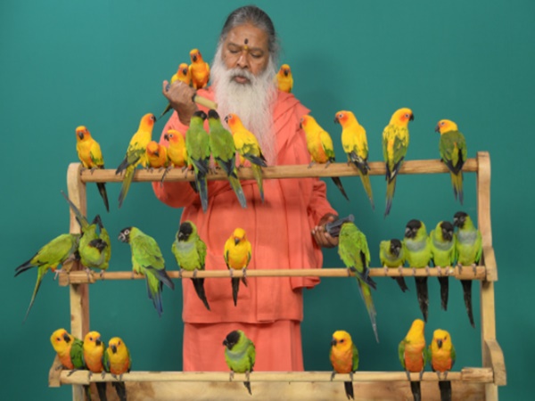 చిలుకల వనం చూసొద్దామా! రండి రండి!