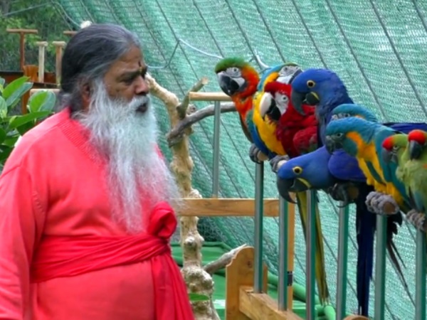 చిలుకల వనం చూసొద్దామా! రండి రండి!