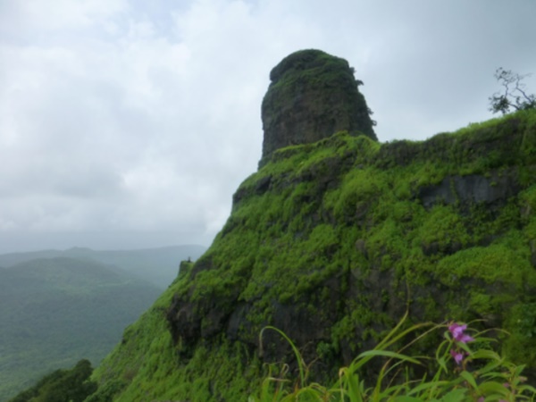 డేంజరస్ కోట