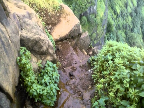 కోట గురించి