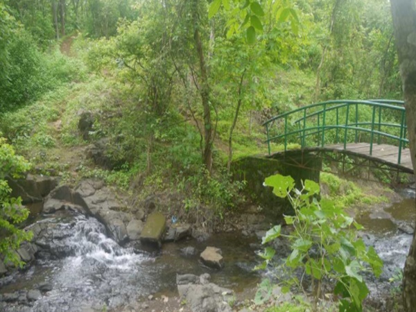  ప్రకటించుట