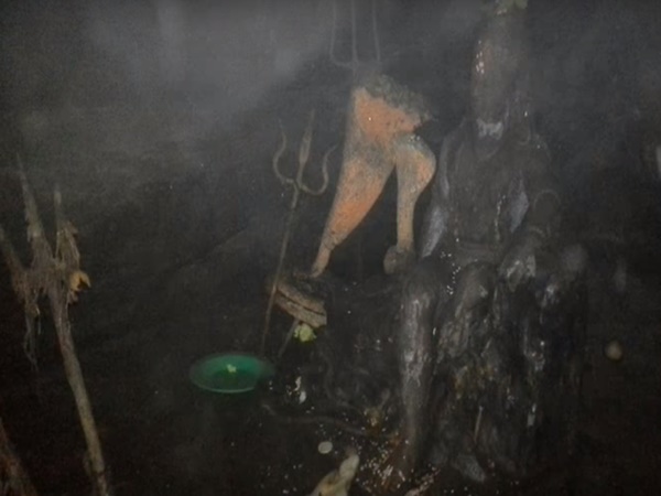 దట్టమైన అడవి