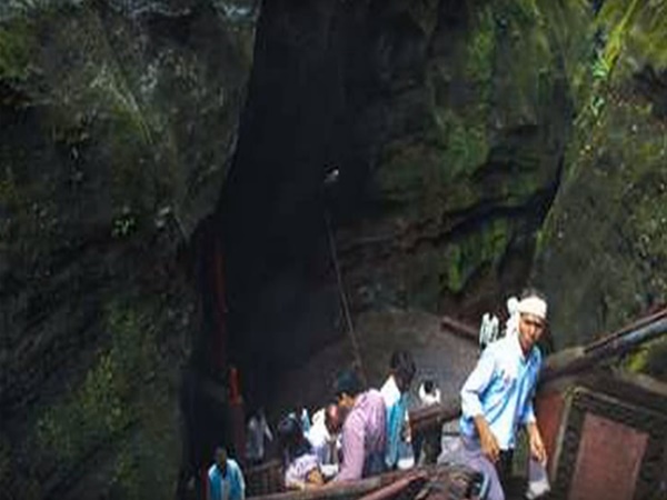 అనేక రకాల ఔషదమొక్కలు