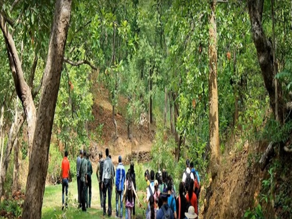 రోగాలను హరించే జలపాతంలోని నీరు
