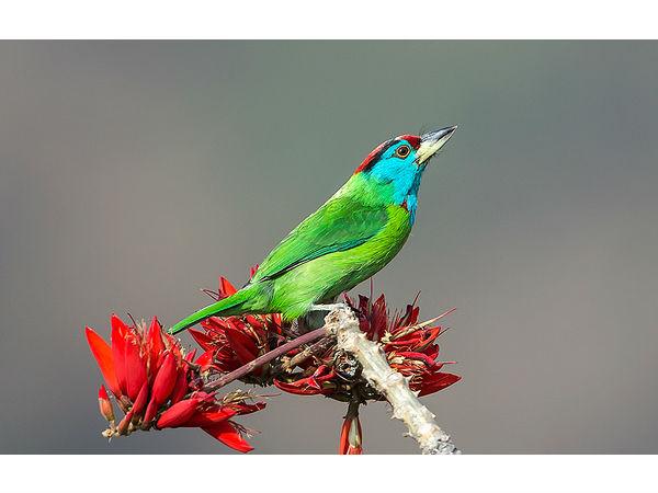 హర్షిల్ లో చూడవలసిన అద్భుతాలు