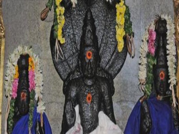 చక్కగా కనిపించే రాహుభగవాన్