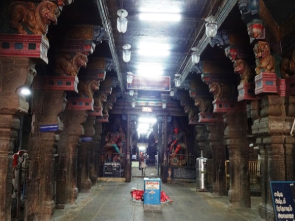 ప్రత్యేకత