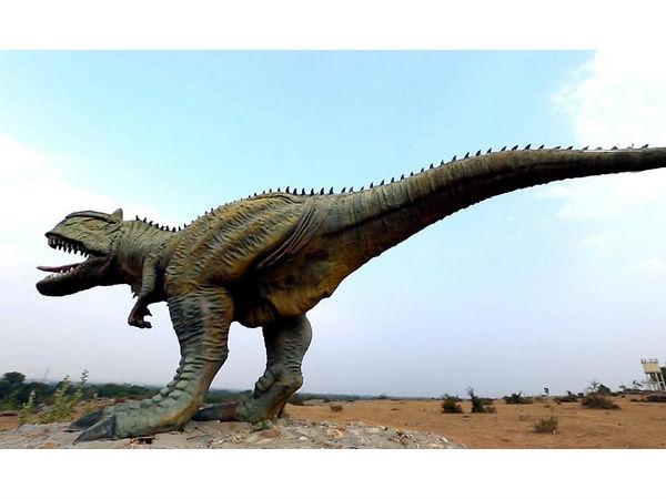 బలసినోర్ ఫాసిల్ పార్క్