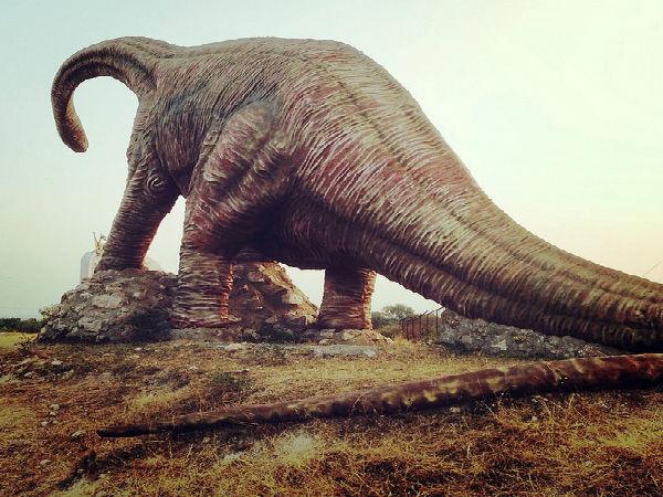 బలసినోర్ ఫాసిల్ పార్క్