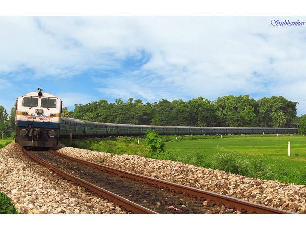 బలసినోర్ ఫాసిల్ పార్క్