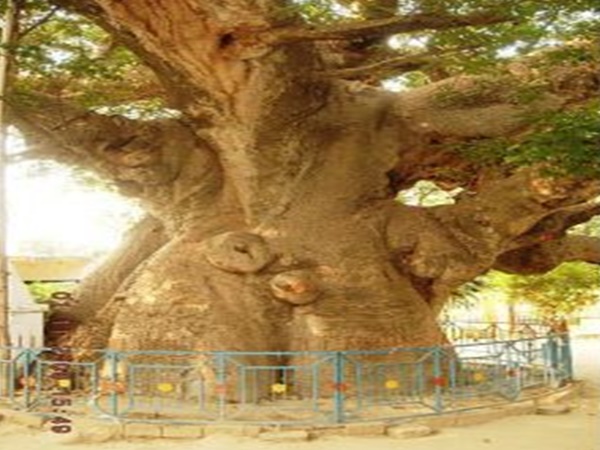 సమీప ప్రదేశాలు