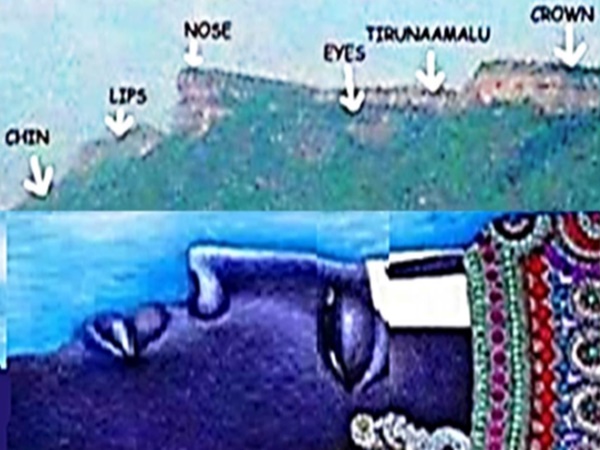 తిరుమల కొండల్లో శ్వేతద్వీపం శేషాచల కొండలనుంచి రహస్య మార్గం