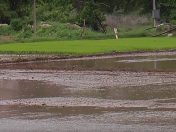 వరంగల్ ఒక మిరాకిల్ ప్రదేశం