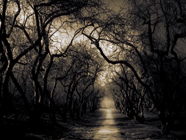 ఇగోర్ చంబాంద్