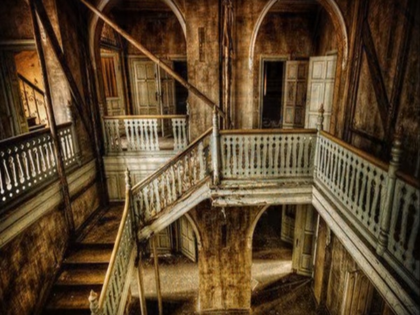 చరిత్ర సృష్టించిన వాడా