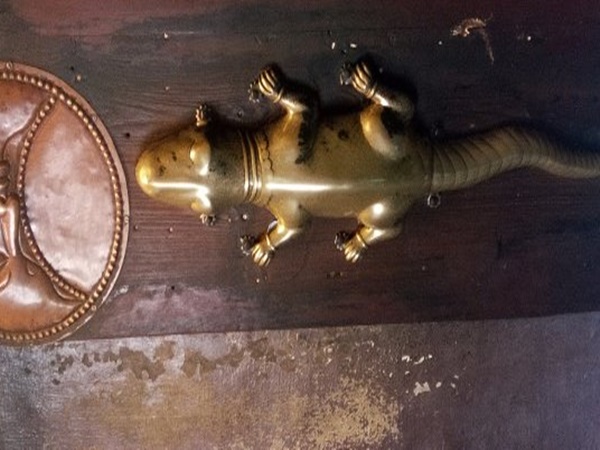 కంచిలోని బంగారు బల్లి వెనుక అసలు నిజాలు !