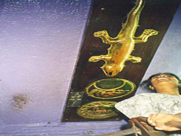 కంచిలోని బంగారు బల్లి వెనుక అసలు నిజాలు !