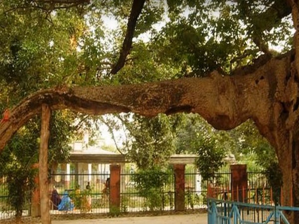 నిజంగానే కోరికలు తీరుతాయ ? ఎక్కడ వుందో తెలుసా మరి