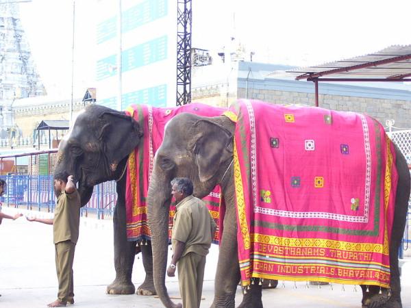 తిరుమల గురించి మరికొన్ని విషయాలు 