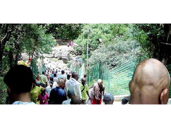 గైడ్ తప్పనిసరి