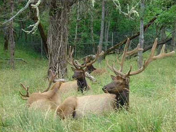  నాగార్జున సాగర్ డ్యాం గురించి భయంకరమైన నిజాలు