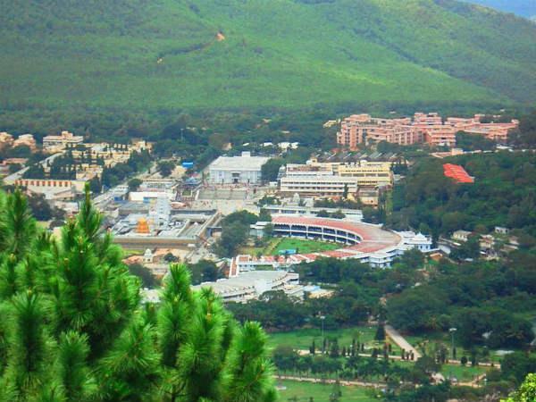 ఎక్సిక్యూటివ్ ఆఫీసర్