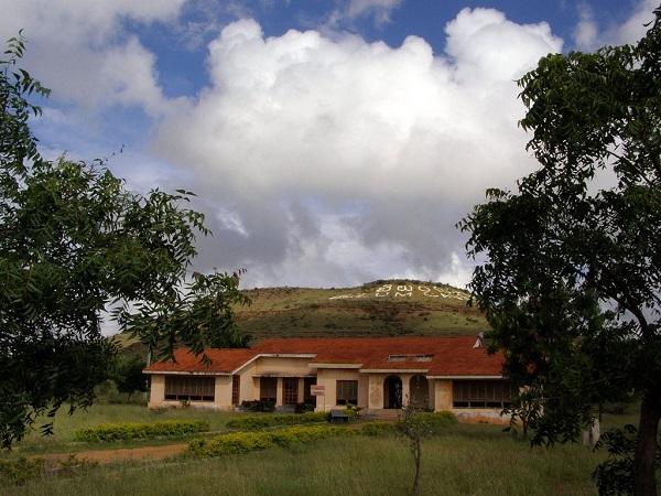 ప్రత్యేకతలు