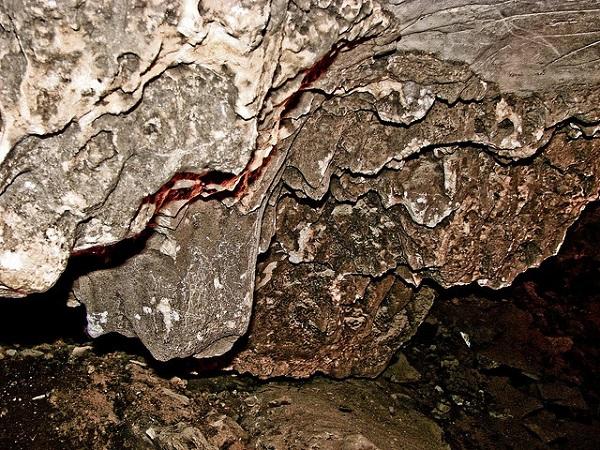 పర్యాటకులు