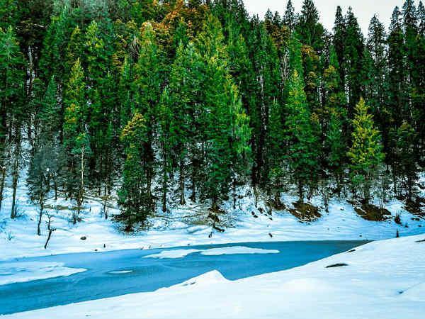 వసుధారా జలపాతం