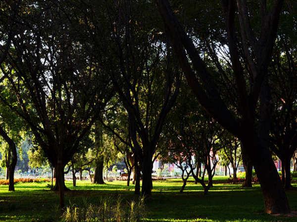 కబ్బన్ పార్క్