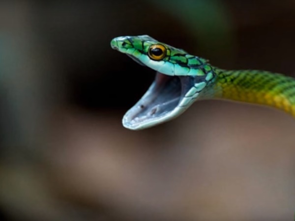 సైన్సుకే చుక్కలు చూపిస్తున్న గ్రామం !