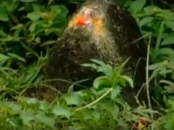 సైన్సుకే చుక్కలు చూపిస్తున్న గ్రామం !