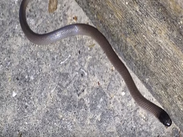 సైన్సుకే చుక్కలు చూపిస్తున్న గ్రామం !