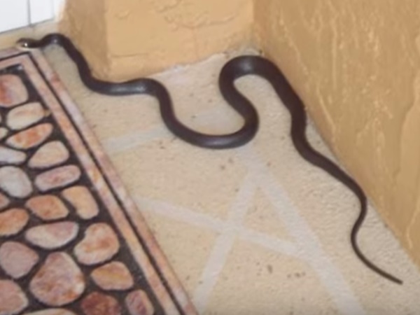 సైన్సుకే చుక్కలు చూపిస్తున్న గ్రామం !