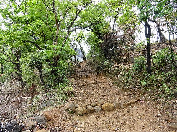 కొండ మీదకి చేరుకోవటానికి మార్గాలు