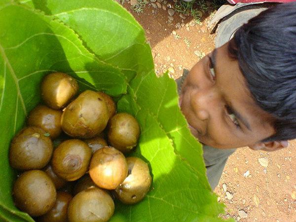 భోజన సౌకర్యాలు