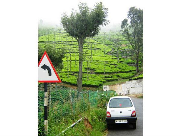 ఎలా చేరుకోవాలి ?