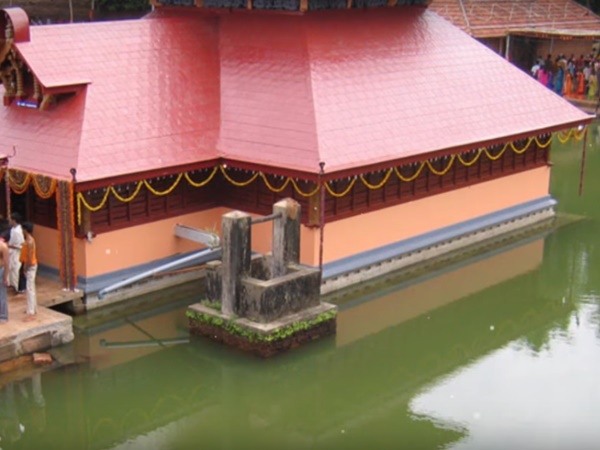 గుడినే కాపలాకాసే వింత శాఖాహార మొసలి