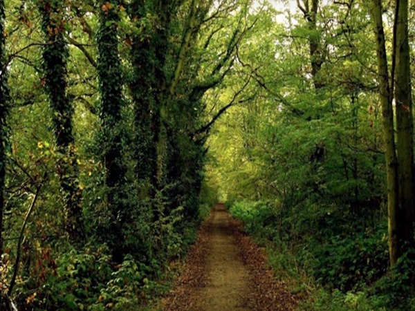 ఖమ్మంలో పెద్దమ్మతల్లి ఆలయం