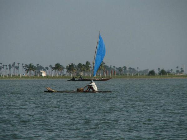 పులికాట్ సరస్సు