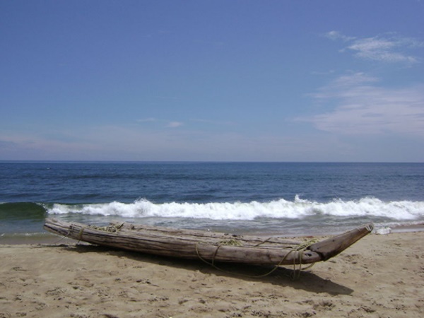 మెరీనా బీచ్ లో ఈత కొడితే ఏమవుతుందో తెలిస్తే... నీటిలోకి కూడా దిగరు..!