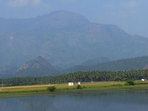 పిలవక్కల్ ఆనకట్ట