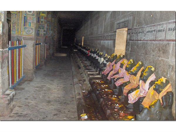 తిరుచులి