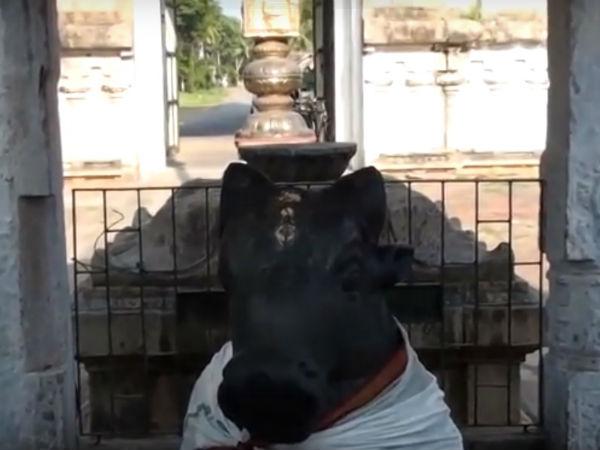 దృఢ సంకల్పం